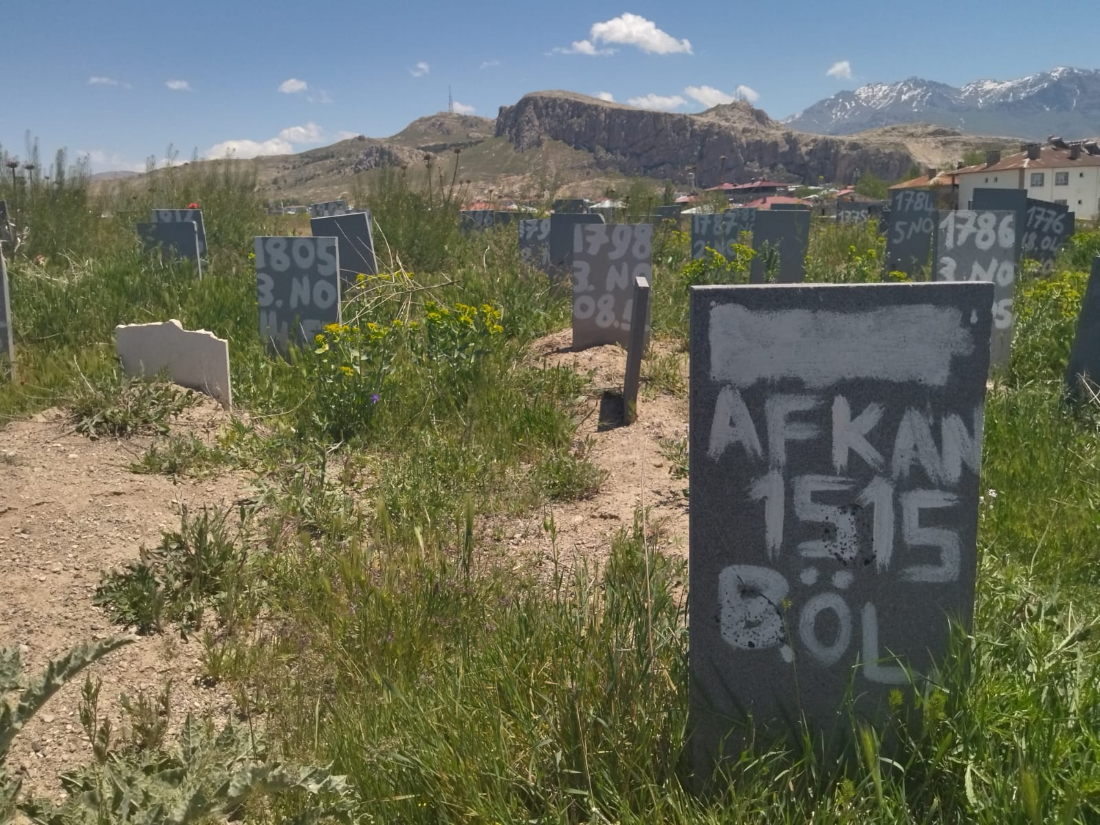 Cimitero di migranti Kurdi