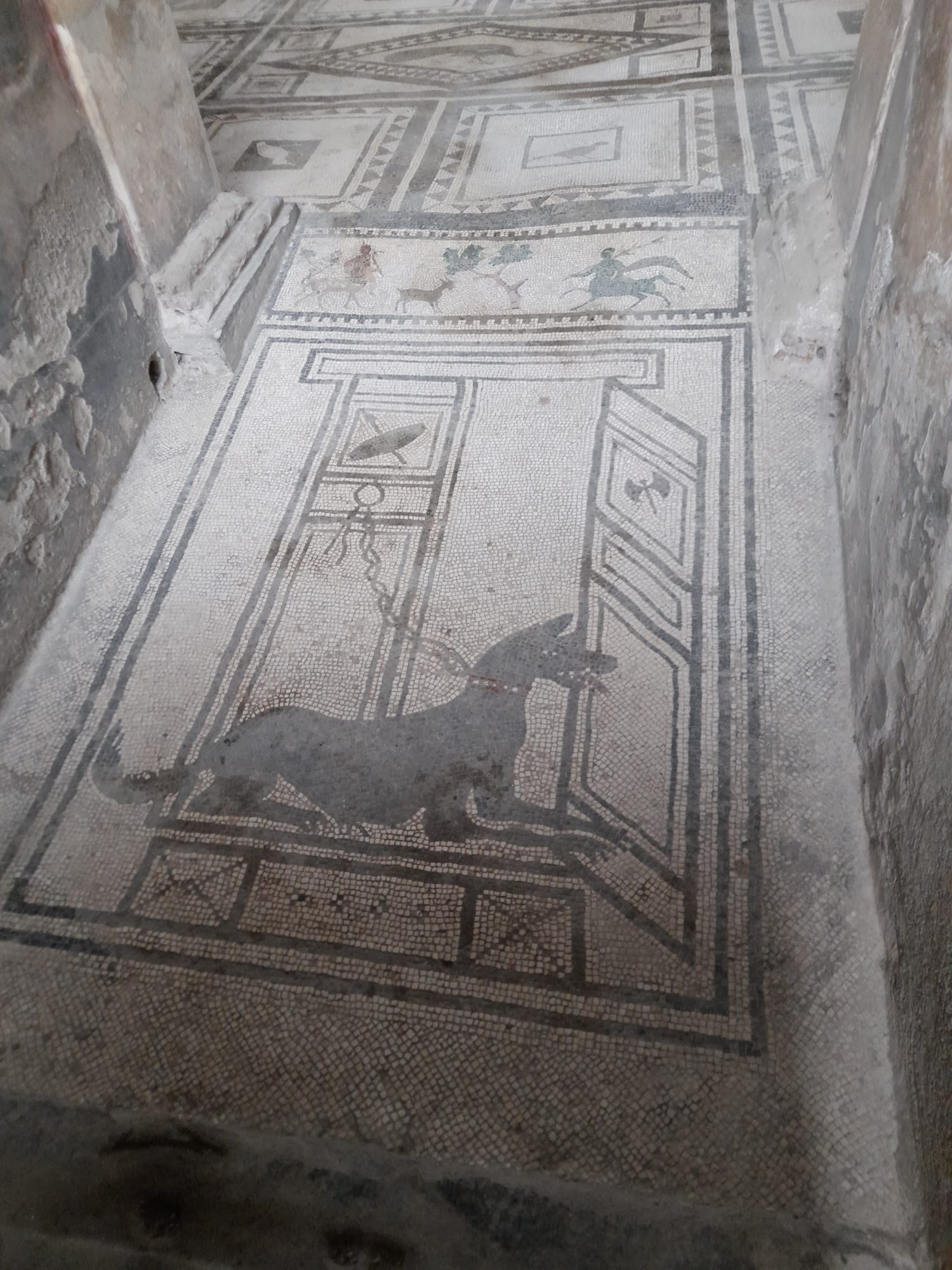 mosaico pompei