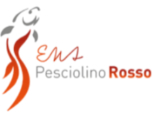 Screenshot 2026-02-12 170332