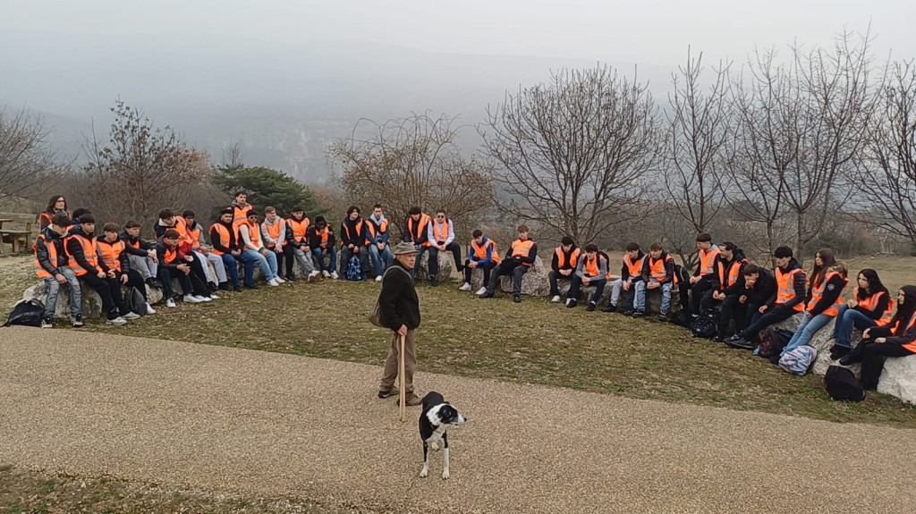 WhatsApp Image 2026-03-13 at 15.28.17